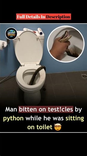 Toilet Turns Terrifying After Python Attack 😳🐍 #SnakeAttack #Viral #Shocking #News #Trending