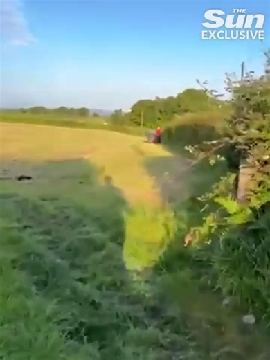 260K views · 3.3K reactions | Moment farmer blasts camper in slurry after catching him sleeping in a tent on his land | The Sun Men | Facebook
