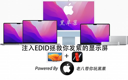 黑苹果紫屏问题？显示效果奇奇怪怪？注入显示器EDID一招解决-EDID注入失败？重启仍然没有效果？手动添加显示器EDID信息，从根本解决问题！