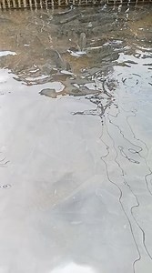 Fresh 🐟🐟 #fishing | Pandu Wilantara