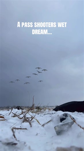 Goose Hunting Tips for Enthusiasts