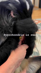 Oh Gabby good thing she can’t use google to diagnose herself we do this all day 🤣🤣reminds me of some family members…I love her ❤️#gabby #hypochondria #precious #sweetiepie | Ryah’s World