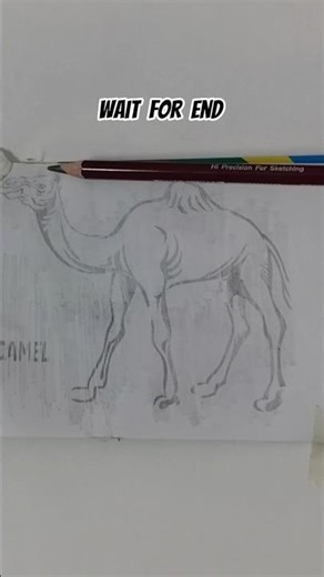 Camel drawing 🐪 || How to Draw a Camel #art #drawing #camel #sketch #viral #artist #creativecreation
