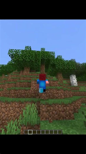 Minecraft Crazy Hack Commands Moment🤯