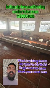 #how to start pig farming #safe castration #pig #indianpigfram #farmer #pigshow #durock #indian pig feed | Arun Kumar