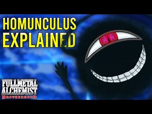Homunculus EXPLAINED?!
