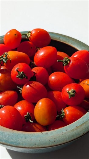 Cherry tomato confit – slow roasted garlic & herb tomatoes
