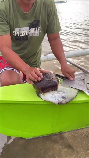 We Found a Unique "Alien" Sand Dollar! 😱