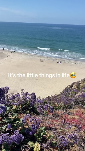 Cutest Little Things in Life Will Make You Smile