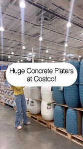 🤍 These new planters at Costco are beautiful! They’re relatively lightweight and are frost resistant. | Costcohotfinds