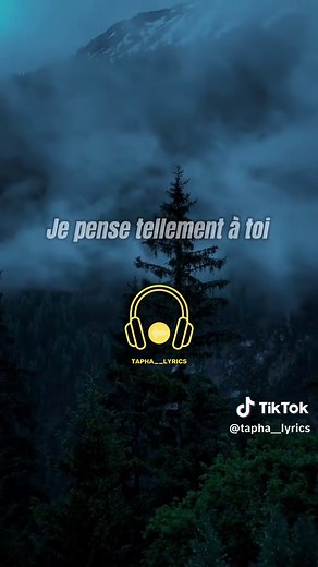 Maître Gims - Tu Vas Me Manquer Lyrics et Analyse