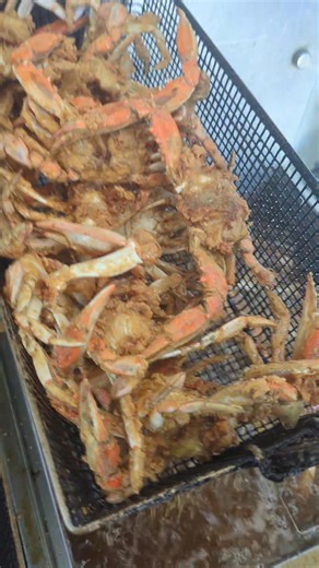 12K views · 283 reactions | 2327 BOUNDARY STREET BEAUFORT SOUTH CAROLINA SHELL GAS ⛽ STATION PARKING LOT THIS WEDNESDAY, THURSDAY 殺 12PM UNTIL 9 PM AND FRIDAY 12PM UNTIL 6PM | Belly Full by Tyger | Facebook