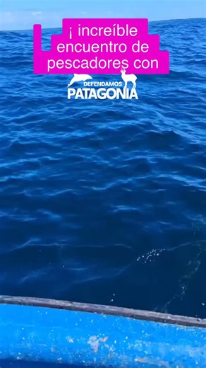 13K views · 1K reactions | Por ahí el “lenguaje” no es lo que se...