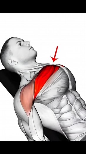 Upper Chest Workout | Build a Bigger, Stronger Upper Chest Fast With These Effective Dumbbell and Barbell Exercises. #upperchestworkout #chestworkout #upperbodyworkout #fyp #foryourpage LiftLegend Gym | LiftLegend Gym