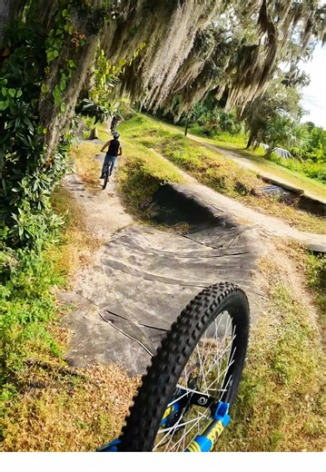 Clean Riding Techniques in Mountain Biking