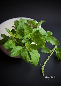 Thai Holy Basil|Tulsi