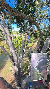 #TreeWork #TreeService #Arborist #TreeRemoval #TreeCare #TreeTrimming #StumpRemoval #TreeClimbing #TreePruning #Woodworking #NatureLovers #SaveTheTrees #EcoFriendly #DIYProjects #HomeImprovement #OutdoorLiving #GardeningTips #YardWork #ViralReels #ForYou #ExplorePage #TrendingNow #InstaReels #Chainsaw #ClimbingGear #Rigging #SafetyFirst #TreeSurgery #sarasotaTreeService #LocalBusiness #SupportLocal #CommunityService #NeighborhoodGardening #BlueCollar #HardWork #SkilledTrades #TradeSkills #LaborF