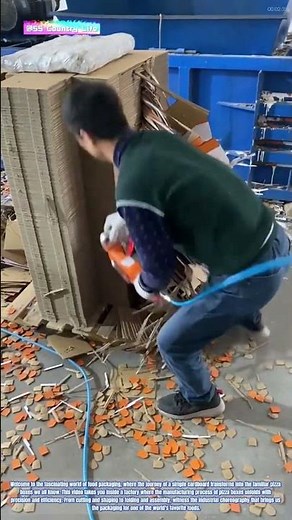 The Making of Pizza Boxes: Inside the Factory