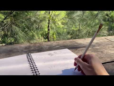 Cate Taylor Visual Communication Designer Process video