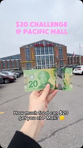 Was this worth $20? 🤔 📍Pacific Mall 4300 Steeles Ave E, Markham #pacificmall #markham #toronto #todotoronto #torontofood | Todotoronto