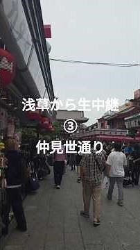 １分浅草観光案内～浅草寺仲見世通りから浅草寺入口 #旅行 #神社 #浅草 #浅草寺 #仲見世通り #shorts #東京 #東京観光 #trip #vlog #travel #ショッピング
