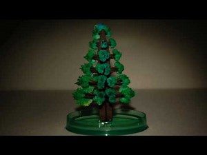Time-lapse Video of growing Magic Christmas Tree / Zeitraffer-Aufnahme von wachsendem Zauber-Baum