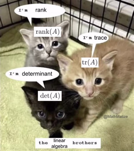 MathMatize on Instagram: "The linear algebra brothers #math #mathmemes #stem #mathematics #mathematician #physicsmemes #linearalgebra"