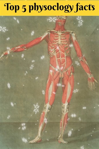 5 Mind-Blowing Physiology Facts About the Human Body🤯| Science Explained. |daily facts | new facts |
