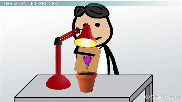 Scientific Method & Observation | Definition, Steps & Examples
