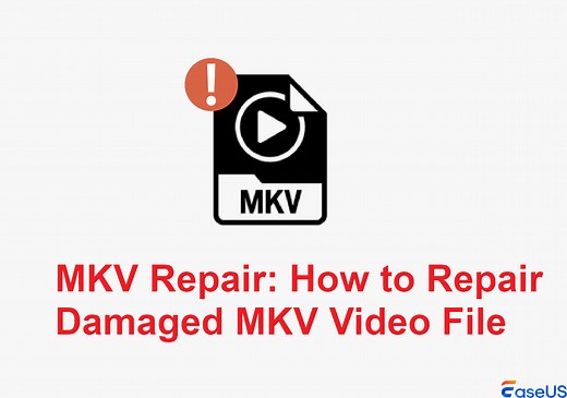 MKV Repair: How to Repair Damaged MKV Video File