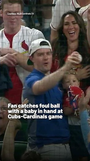 Fan catches foul ball with a baby in hand at Cubs-Cardinals game #mlbhighlights