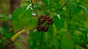 We can’t believe it’s been weeks since the event, and the messages are still ringing in our ears. That day was only the beginning — thank you for being part of True Utila. | True Utila
