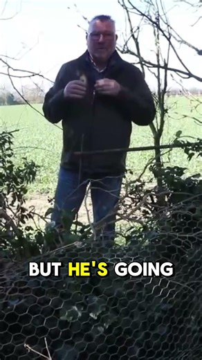 Springer Spaniel Puppy Training