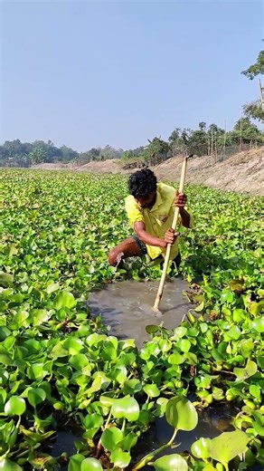 fbreels #reelsfb #foryou #follower