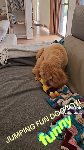 Maisy's Jumping Fun Dog Toy for Active Play