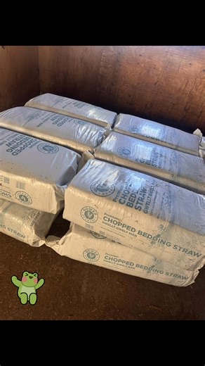 With the changing weather, it's no surprise that demand for feed and bedding is on the rise, keeping our delivery schedule packed and shop busy🙌 The cake counters been restocked aswell 😜 Even after 6years it’s wonderful to get new customers on board at Quantock Country, and how cute are our newest customers 🥰 The trip up the motorway was worth it 🤗 | Quantock Country Store