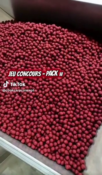 #cookcarpconcept #tik_tok #rhc #jeuconcours #bouillette