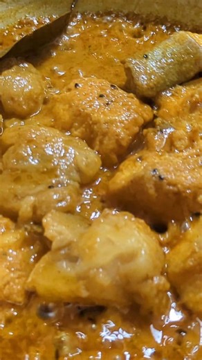 Pangash Bhuna | Taste Of Foodies