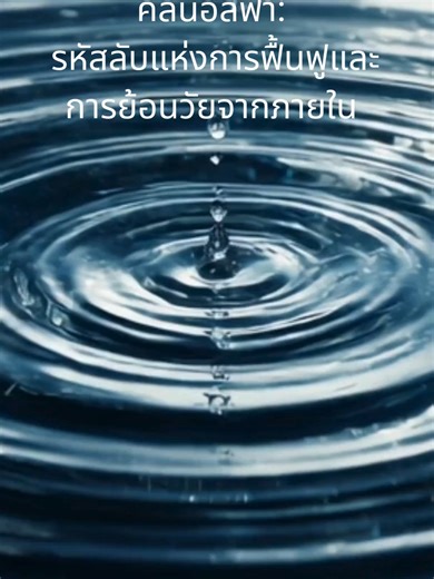 คลื่นอัลฟ่า รหัสลับแห่งการฟื้นฟูและการย้อนวัยจากภายใน