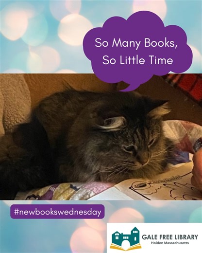 Gale free Library Holden MA on Instagram: "It's Wednesday and new books this week just arrived @galefreelibrary . Vivian invites you to take a look at them and thinks that finding something interesting to read will not be a problem at all😸📚 . . . #galefreelibrary #newbookswednesday #librarybooks #librarynewbooks #librarianscat #somanybookssolittletime #readingisthebest"