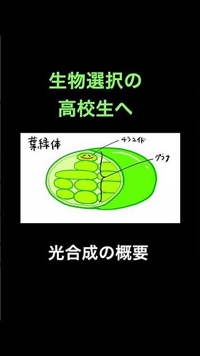 光合成の概要 #高校生物