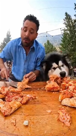 Eating Racing Challenge with My Dog #funnydog #dograce #dogchallenge #reels | Our Dream | Facebook