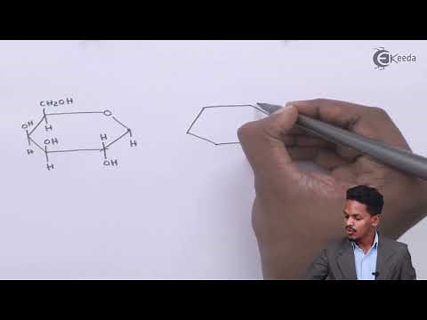 Structure of Lactose - Biomolecules - Chemistry Class 12