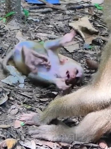 Tips for Calm Babies: Handling Baby Screaming