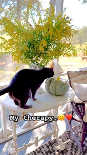 Cupola Ridge on Reels