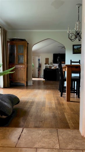 50K views · 2.8K reactions | Not a swimmer, that’s a runner! #swimmerpuppy #rescue #puppy #rehab #golden | The Tucker Farm | Facebook