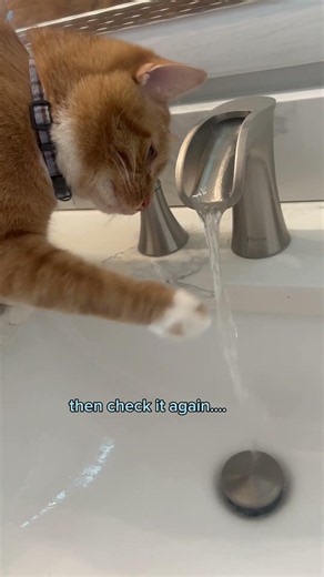 Hand washing tutorial