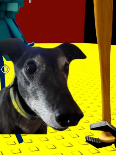 Experto en celestiales💀🥱 #roblox #gamer #gaming #robaunbrairont