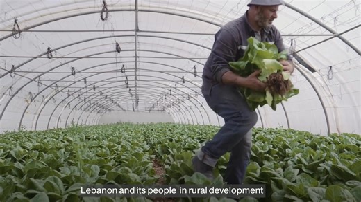 #UNLebanon and its partners have consistently supported #Lebanon🇱🇧 and its people in #rural development providing ongoing and complementary assistance. #All4Lebanon *********************** تستمر #الأمم_المتحدة 🇺🇳في #لبنان وشركاؤها بدعم لبنان🇱🇧 وشعبه في التنمية الريفية من خلال تقديم المساعدة المستمرة والتكميلية #كلنا_للبنان | United Nations Lebanon