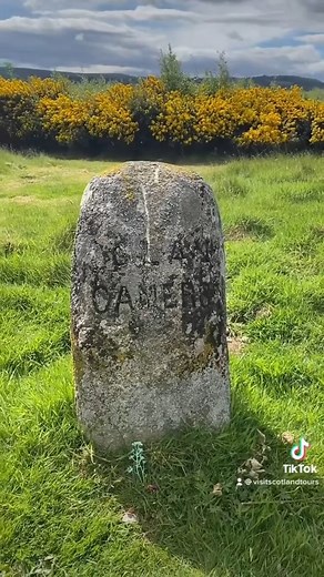 14K views · 641 reactions | Some interesting insights on the Battle...